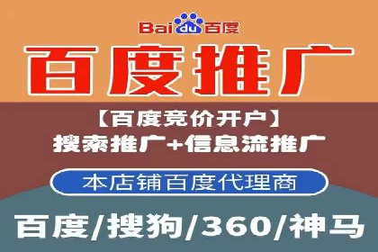 百度竞价代理的客户案例：如何实现ROI最大化